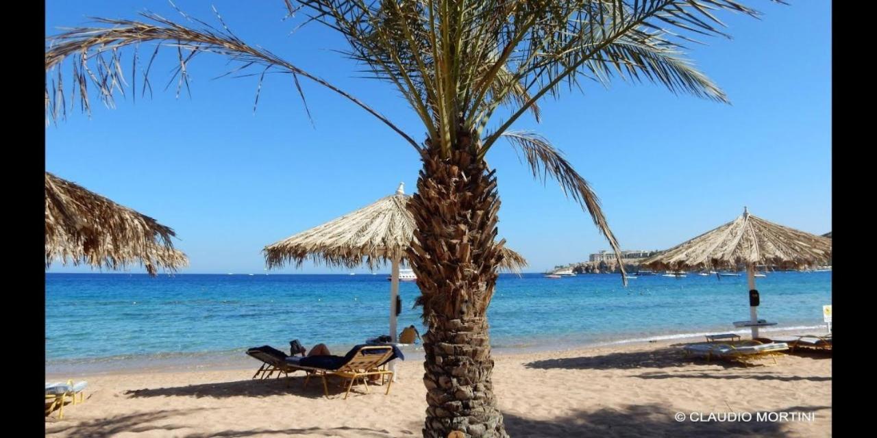 Sharm Dreams Vacation Club - Aqua Park酒店 外观 照片 El Alamein beach
